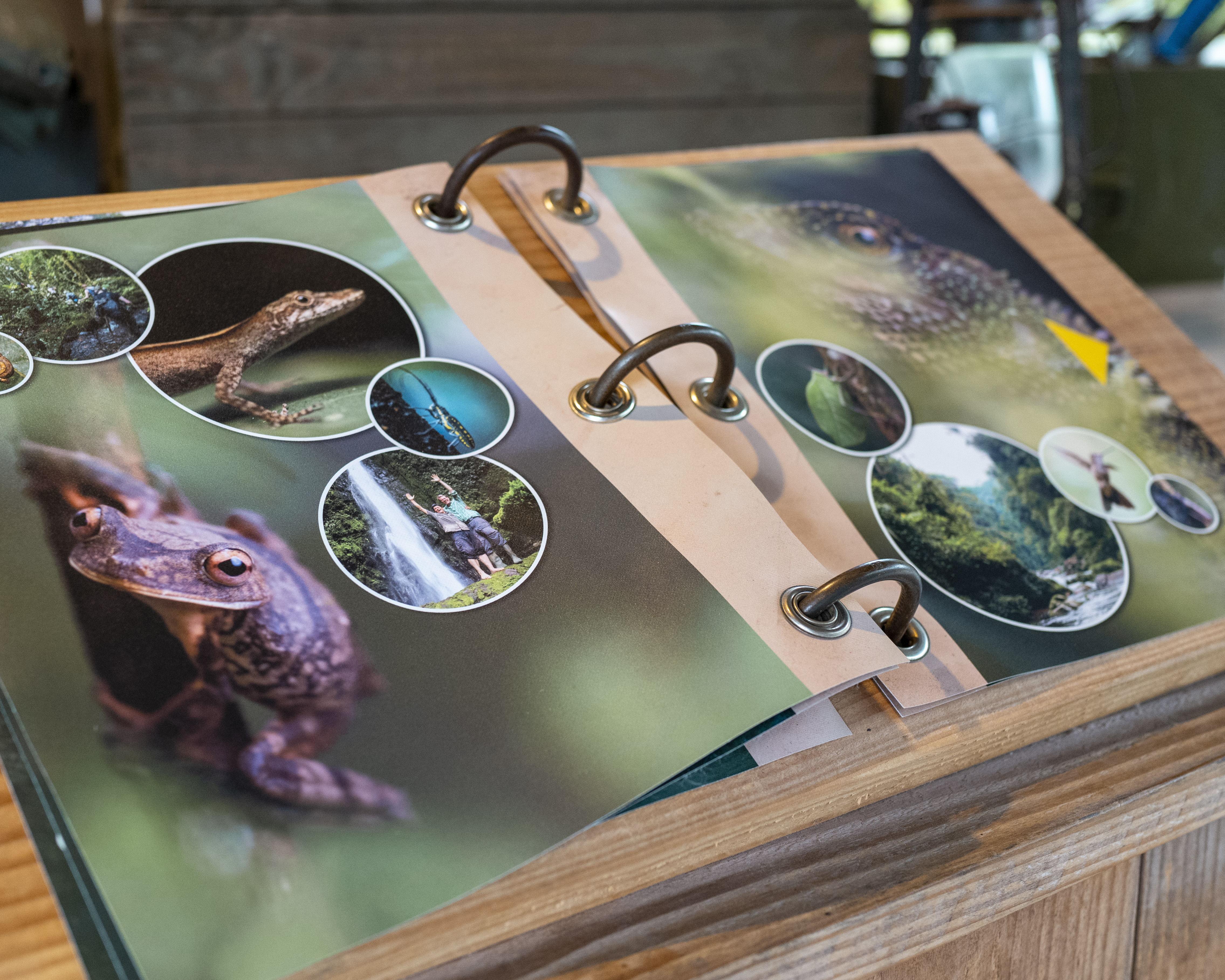 Specialprintet vinylbog til udstilling