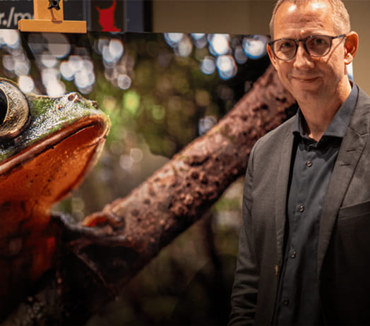 ChromaLuxe print udstilling og detaljer