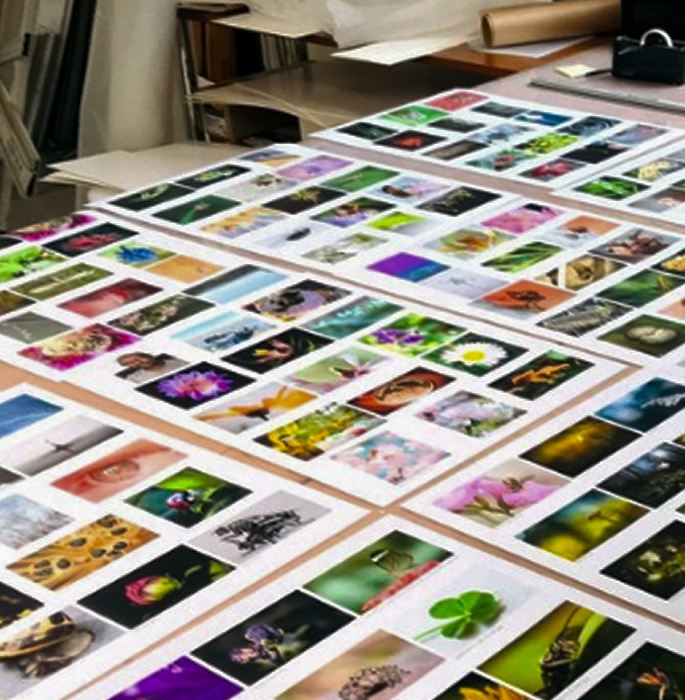 Ofte stillede spørgsmål om fotoprodukter og fremkaldelse