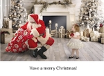 Have a Merry Christmas-