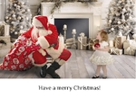 Have a Merry Christmas-