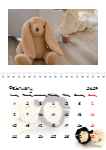 Plushies