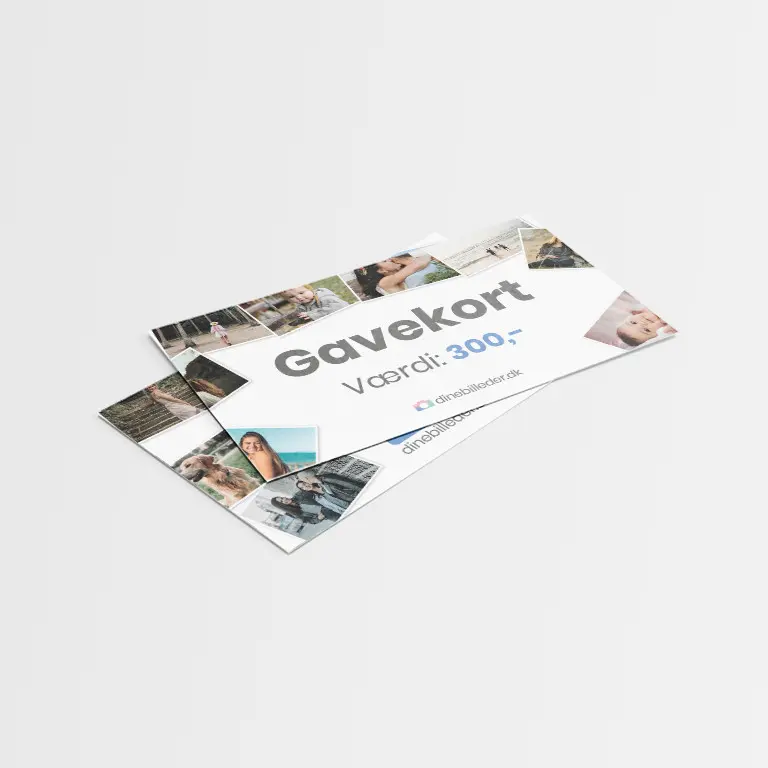 Gavekort 300,-