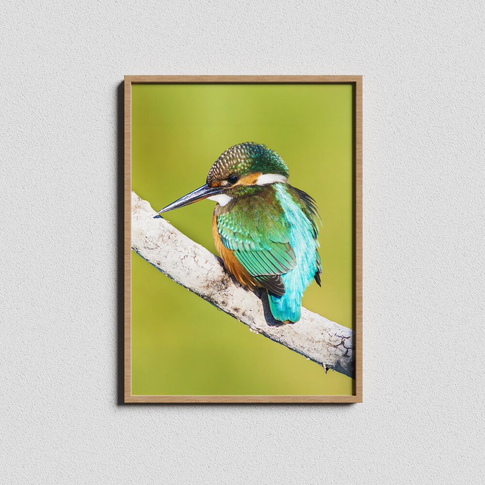 Matt Plus 240 gsm 2